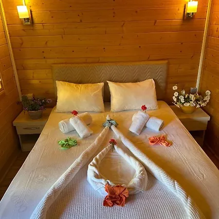 Felicity & Hotell Kemer