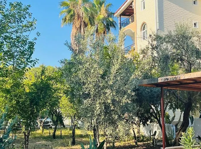 Felicity & 케메르