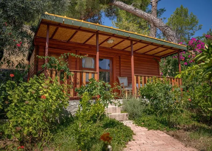 Felicity & 케메르