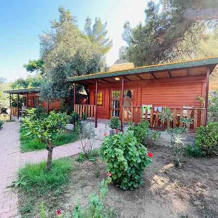 Ξενοδοχείο Felicity & Κεμέρ