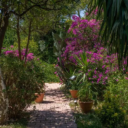 Ξενοδοχείο Felicity & *